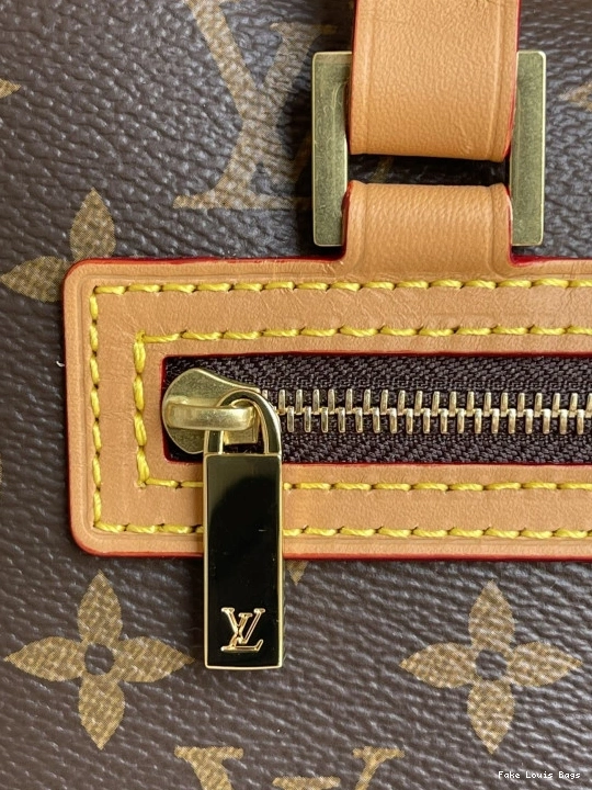 Fake Louis Bags CITE LOUIS VUITTON 0811